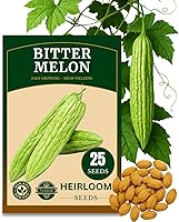 Vista 1 de Más de 25 semillas de melón amargo premium de Estados Unidos para plantar (calabaza amarga), semillas sin OMG, hasta 16 pulgadas de crecimiento