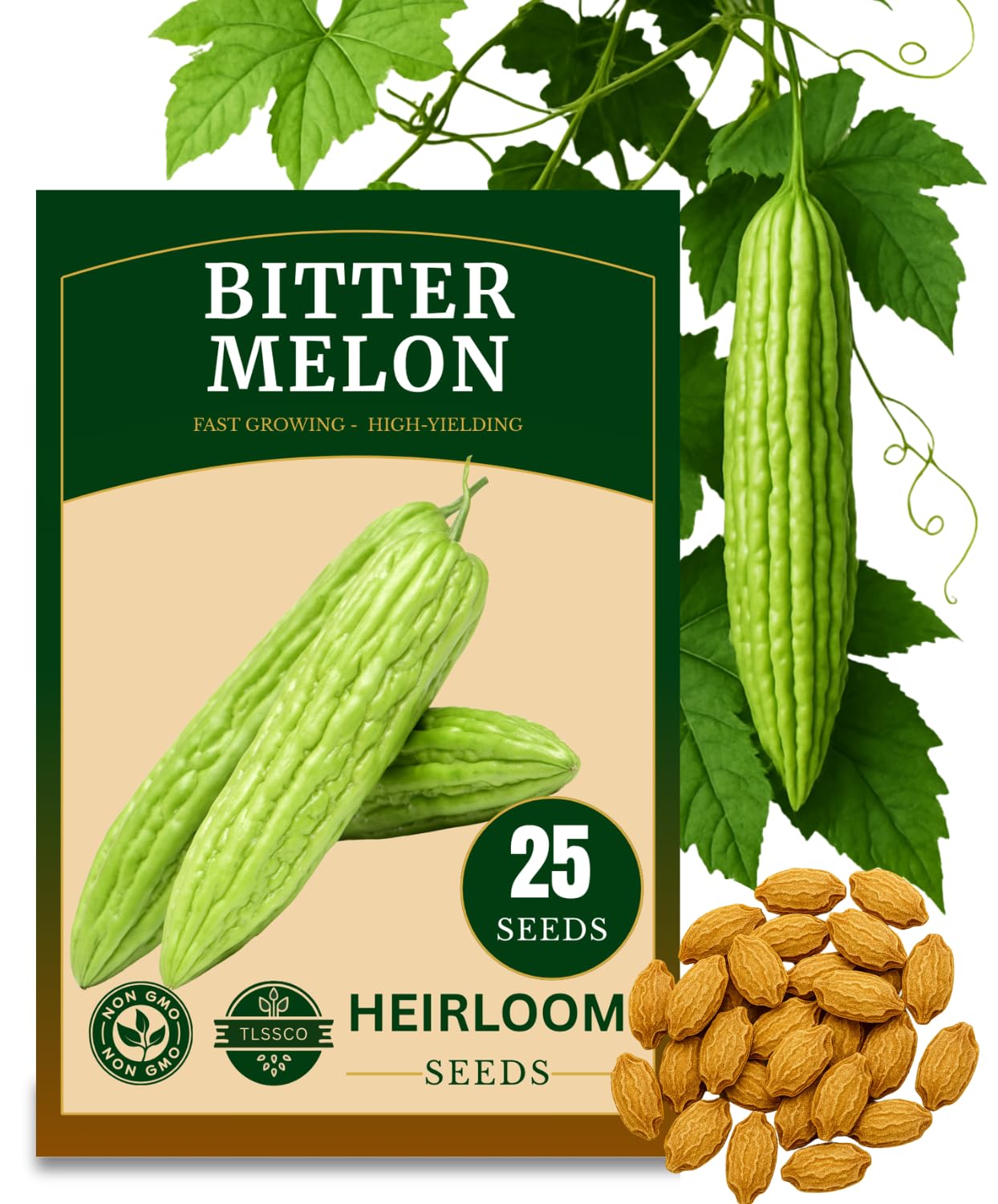 25+ 𝗨𝗦𝗔 𝗣𝗥𝗘𝗠𝗜𝗨𝗠 Bitter Melon Seeds for Planting (Bitter Gourd), 𝗡𝗢𝗡-𝗚𝗠𝗢 Seeds – Up to 16 inches Fast Growing – High-Yielding, Extra Long, Authentic Flavor, Heirloom