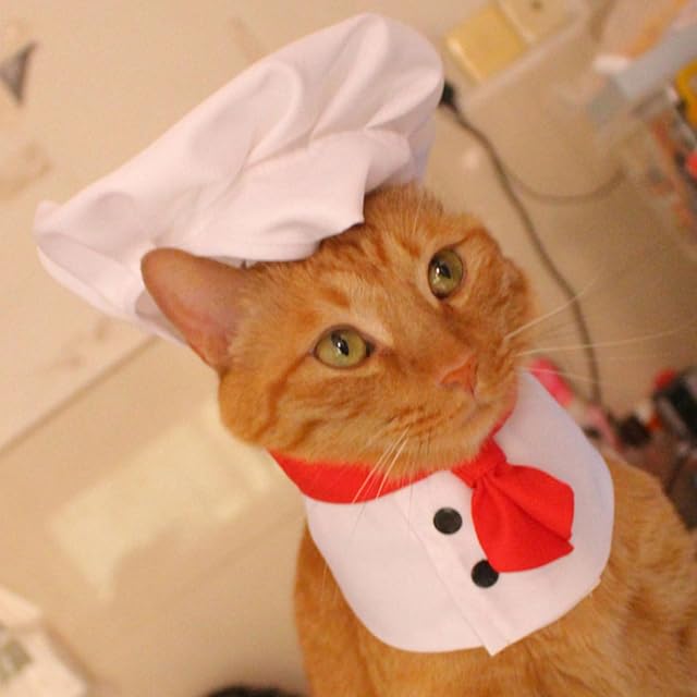 Foto 8 de 8 de MISUVRSE Disfraces de Halloween para perros, gorro de cocinero y capas, traje para perros pequeños, cosplay