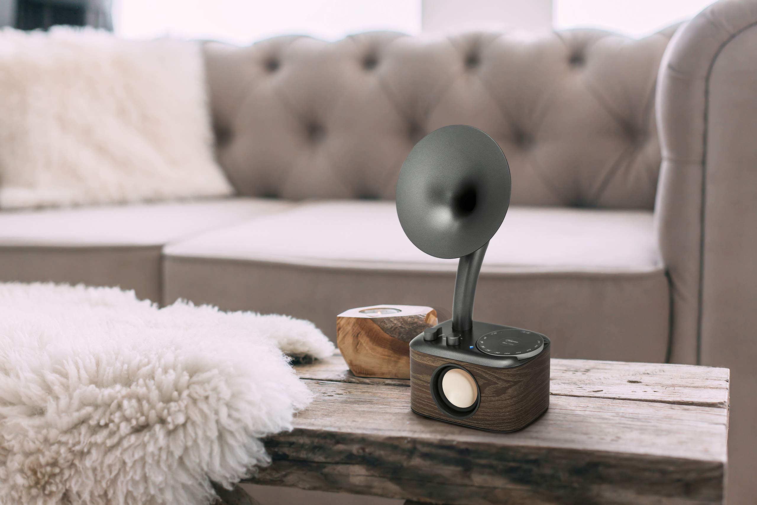 Sangean WR-45 Black (Euphonic 450)