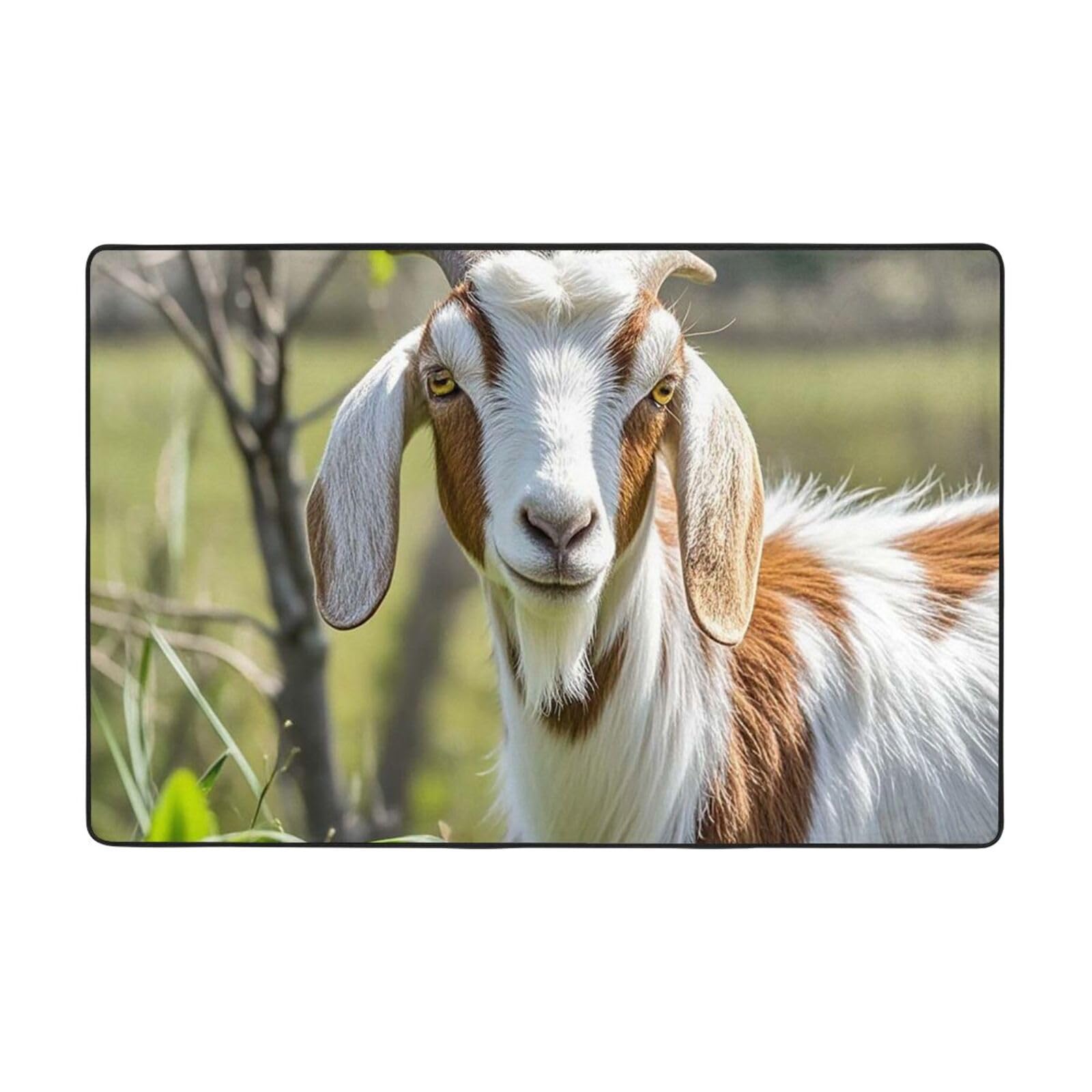 Tapis de chèvre pour salon chambre et entrée facile à entretenir