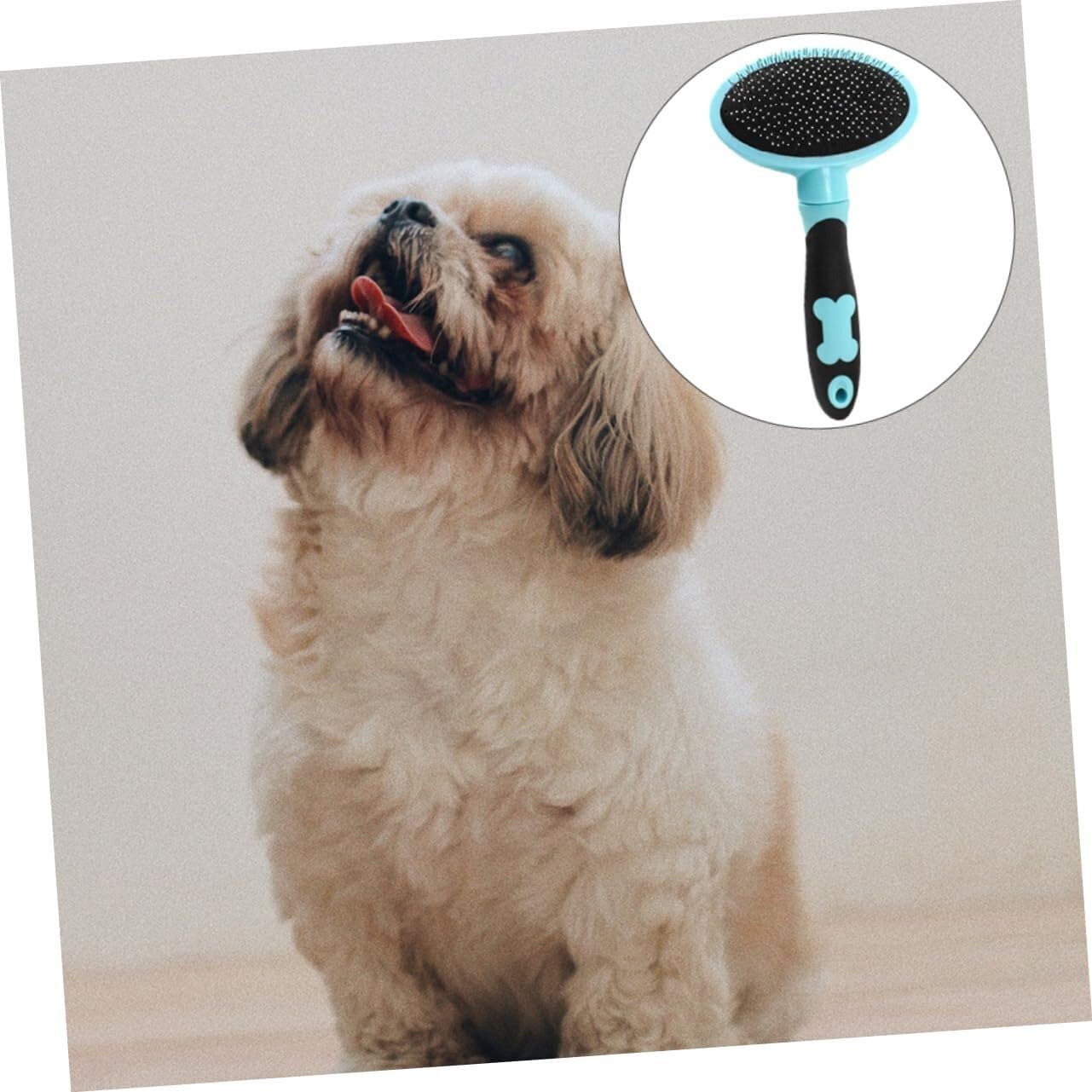 POLGDW 2 szt. Pet Petg Cat Comb Brush Pet Comb Cat Hair Brush Pet Hair Dog Brush dla zwierząt domowych szczotka do masażu Grzebień do podszerstka dla kota Narzędzia kosmetyczne Szczotka parowa dla kot