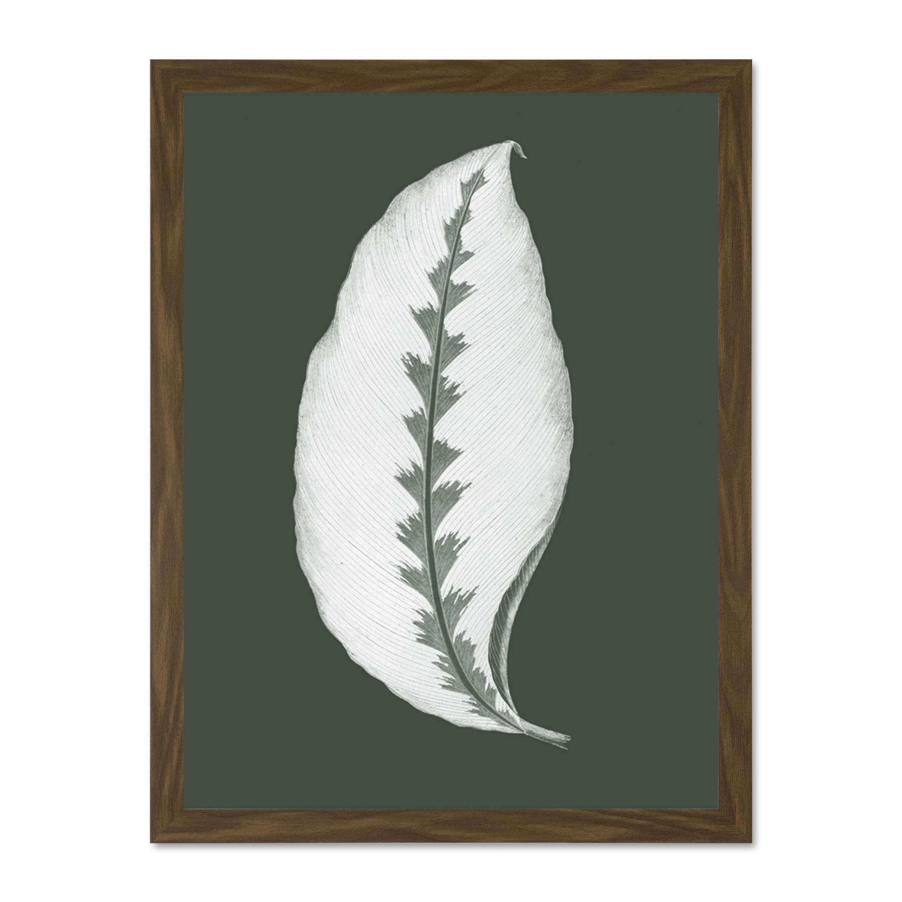 Wee Blue Coo Botanics Hunter Green Jungle Leaf Large Brown Framed Art Print Wall Poster 18x24 inch