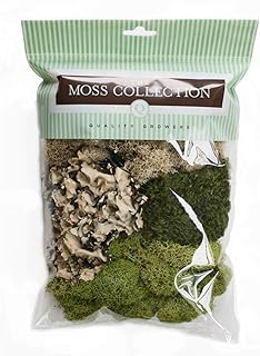 The Moss Collection Variety Pack - Natural Decorative Moss - Crafts, Hom...