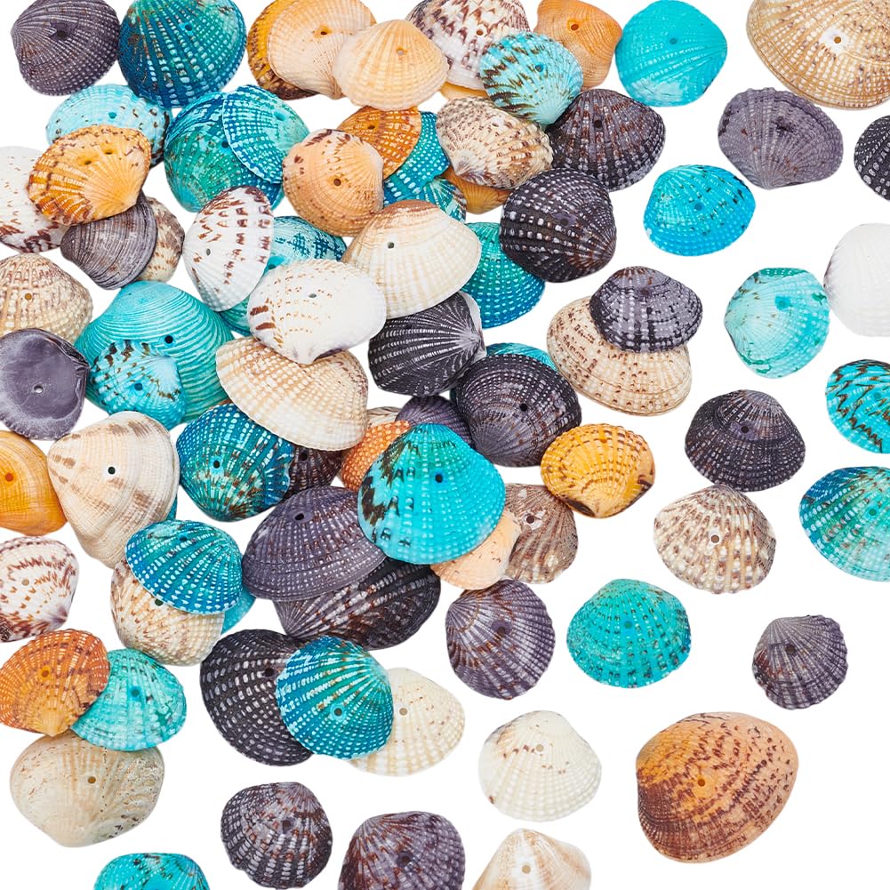 Approximately 52pcs Natural Dyed Scallop Tiny Drilled Seashells Seashells Craft Ocean Beach for Home Decoration Party Wedding Decor