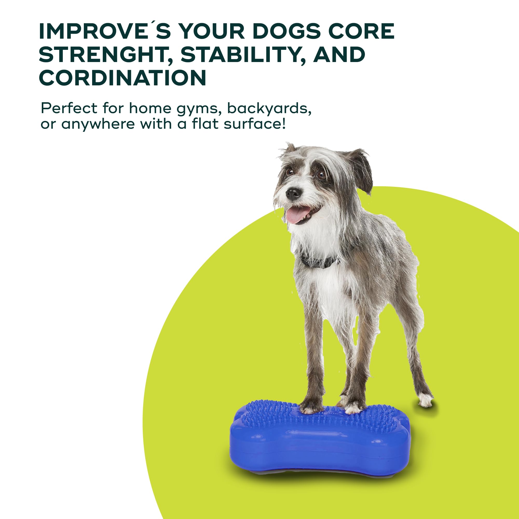 Amazon | Mini FitPAWS® K9FITbone CanineGym® ドッグバランス
