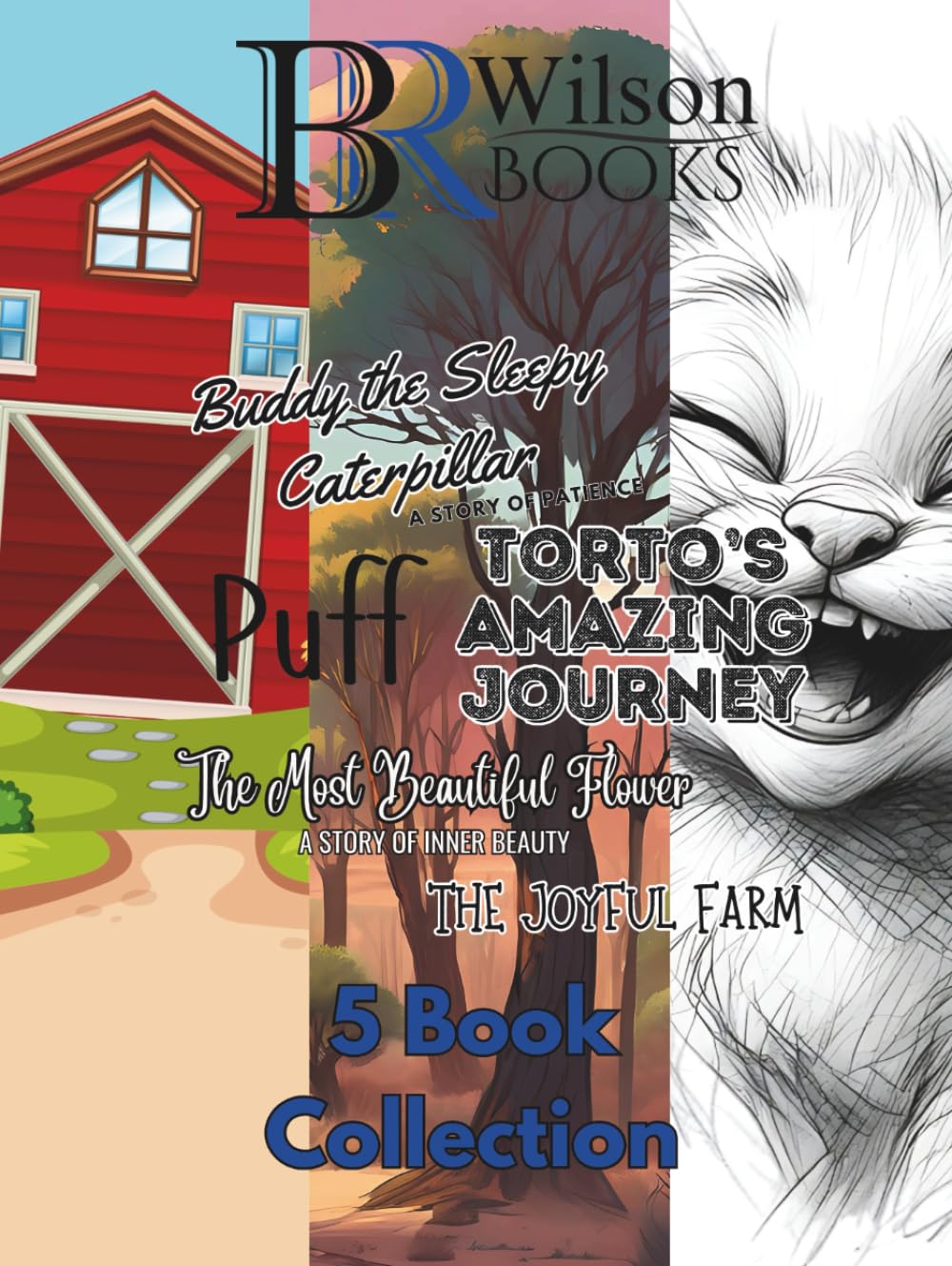 B. R. Wilson's 5 Book Collection: Buddy the Sleepy Caterpillar: A story of Patience, Torto’s Amazing Journey, The Most Beautiful Flower: A Story of Inner Beauty, The Joyful Farm, Puff      Hardcover – Large Print, July 8, 2025