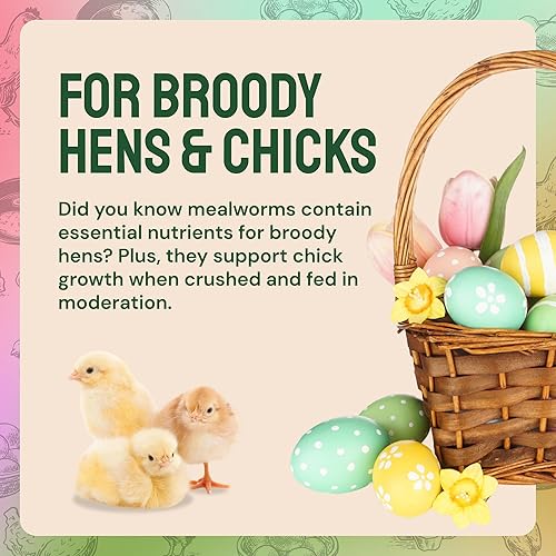 Miniatura 6 de 5libras de gusanos secos para aves pollo pescado