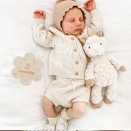 Miniatura 30 de Tarjetas de hitos mensuales para bebés, discos de hitos mensuales de madera, accesorios de fotografía para recién nacidos para documentar el Disco