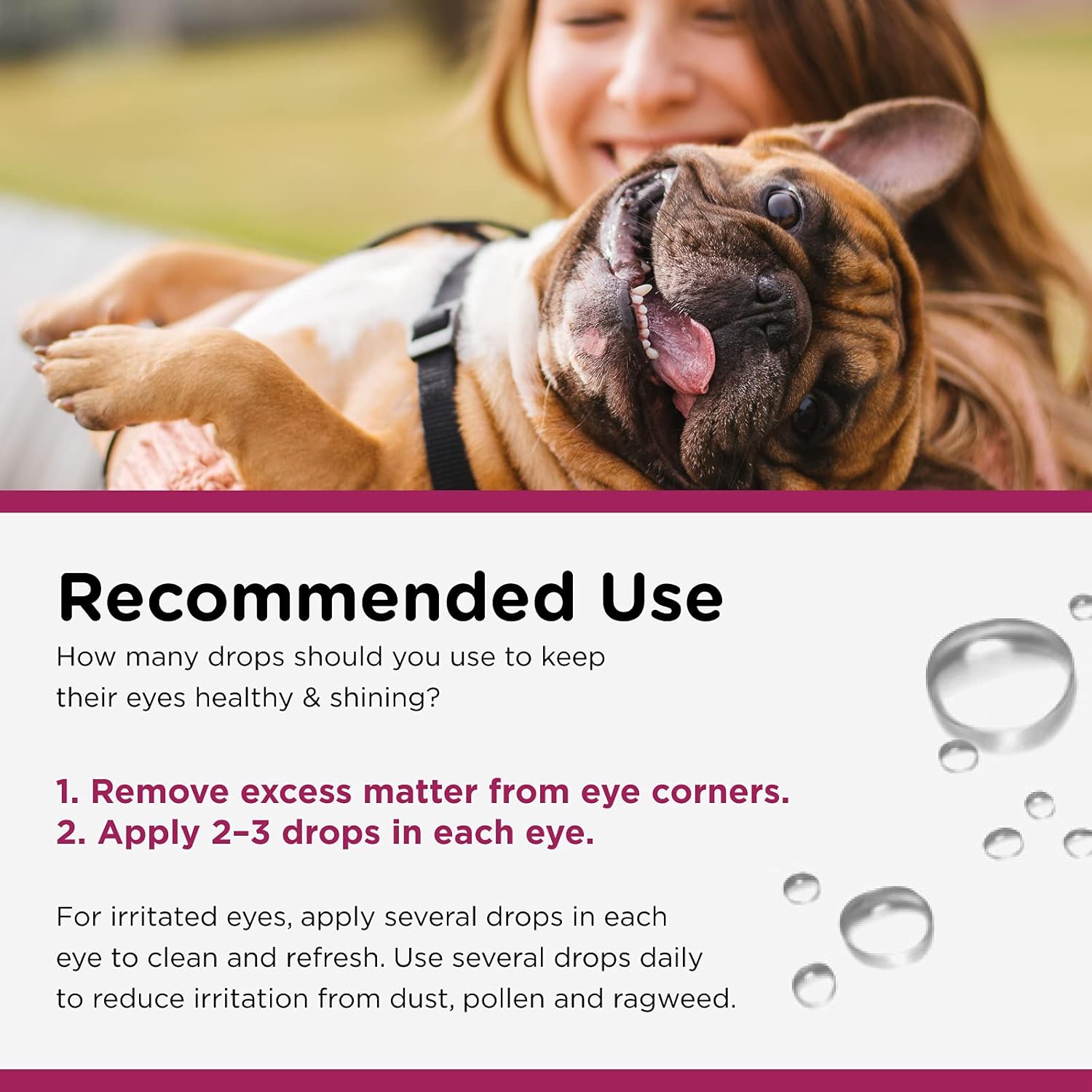 Nutri-Vet Eye Rinse for Dogs | Gentle Formula to Soothe Irritated Eyes and Prevent Tear Stains | 4 Ounces : Pet Eye Care Supplies : Pet Supplies