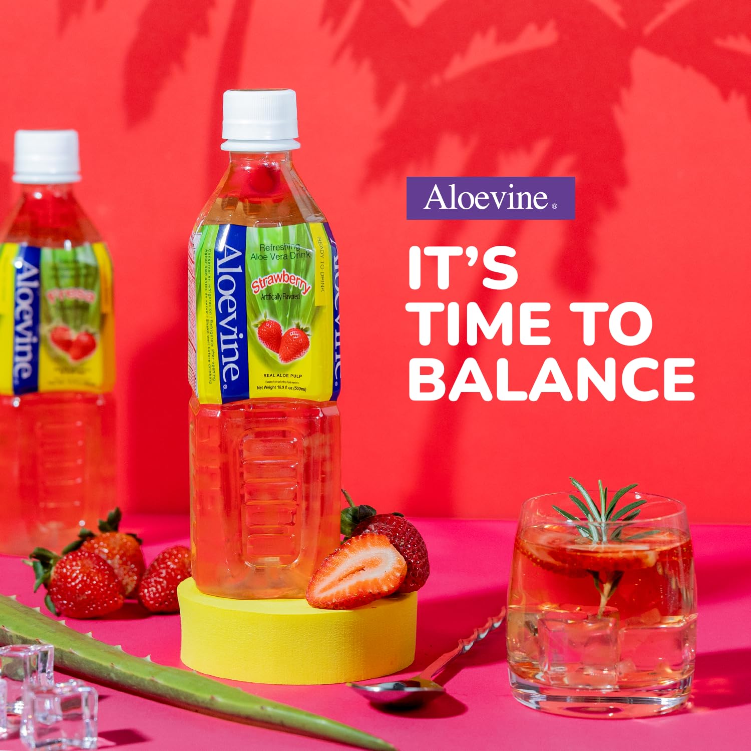 Amazon.com : Aloevine Aloe Vera Drink (Strawberry, 16.9 oz 10 Pack