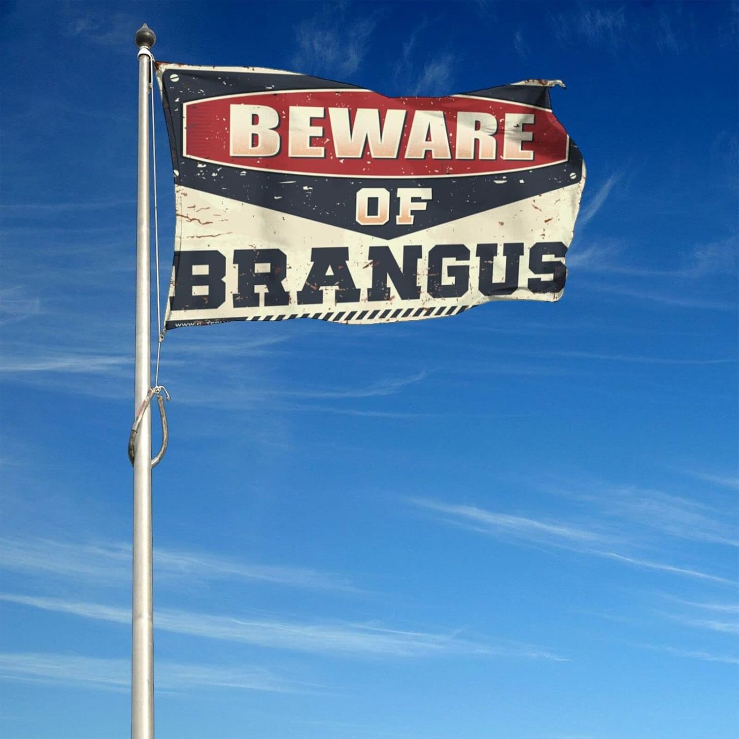 COTECI Small Flags Beware Of Brangus Flag Funny Stuff Flags For Room Girls (Size : 152X244CM)