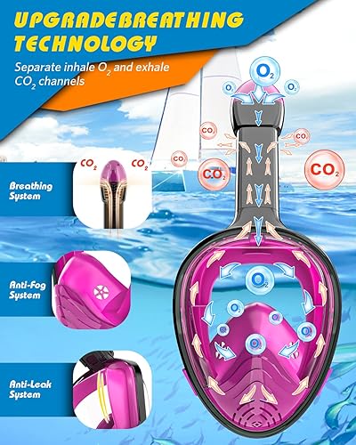 Miniatura 7 de QingSong Máscara de esnórquel de cara completa para niños y adultos, equipo de esnórquel antiempañamiento y antifiltraciones con soporte para cámara
