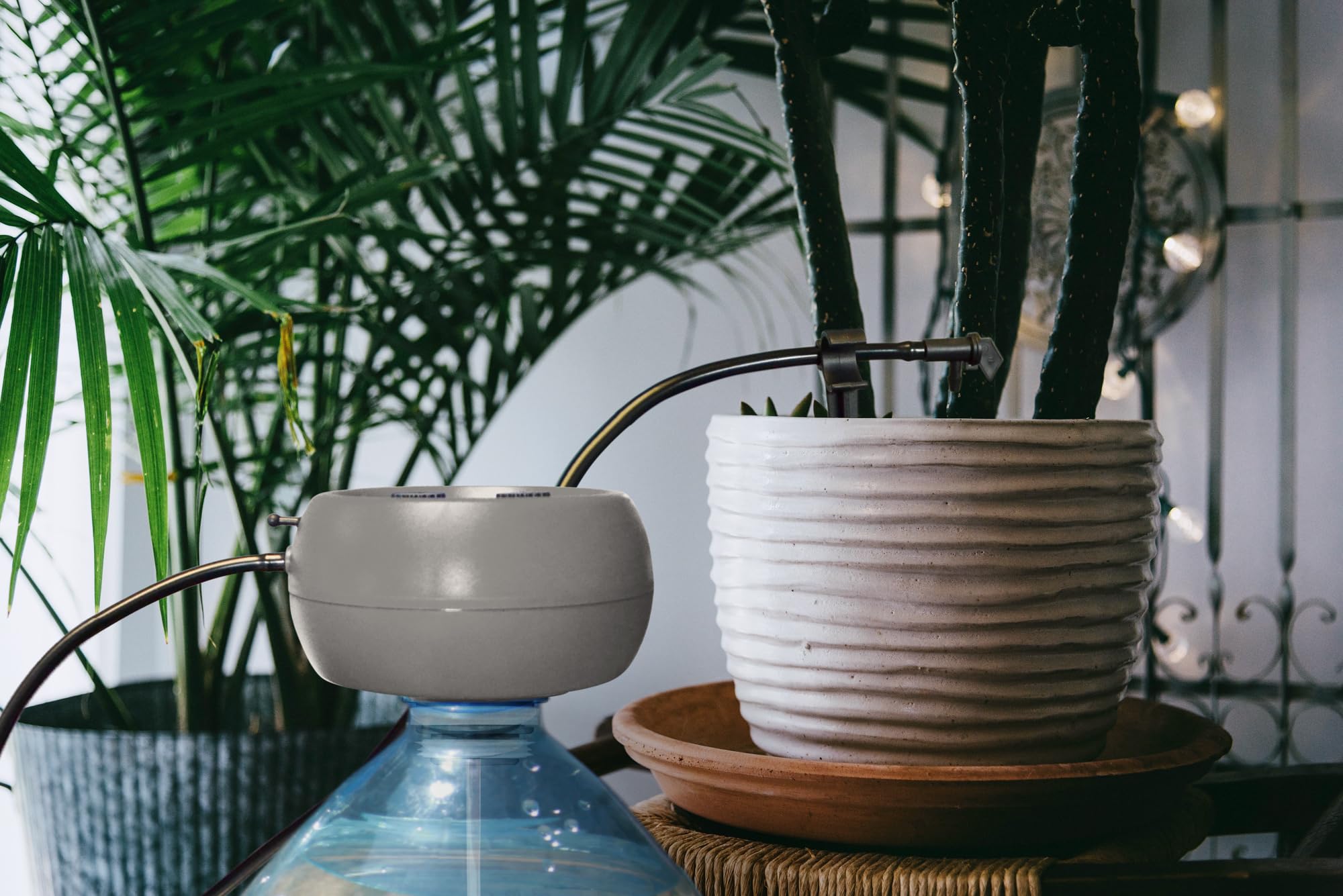 Jardibric - Kit Arrosage Goutte à Goutte Autonome avec Pompe Programmable Batterie - 10 Plantes