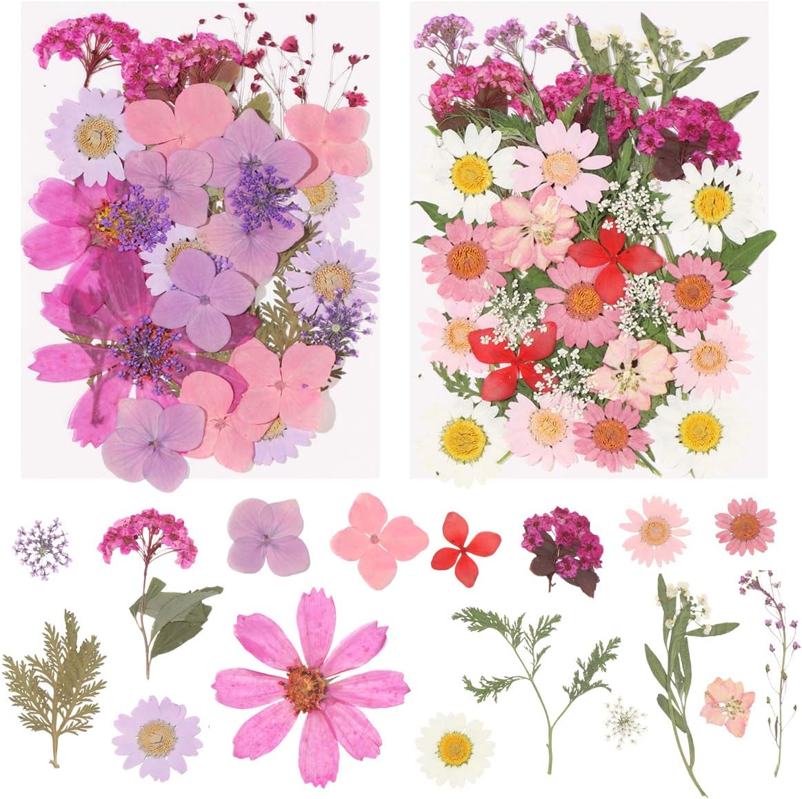 Candle Making Soap Bath for Kit Herbs Flowers Presses