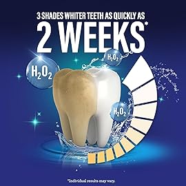 GuruNanda Teeth Whitening Dual Barrel Oxyburst Mouthwash - Alcohol & Fluoride Free, Hydrogen Peroxide to Promote Whiter Teeth - Wild Mint - 20 Fl Oz