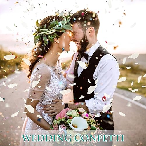 Miniatura 3 de Pétalos de rosa blancos reales secos, pétalos de flores preservados congelados de 1.75 onzas para regalos del día de San Valentín, decoración de