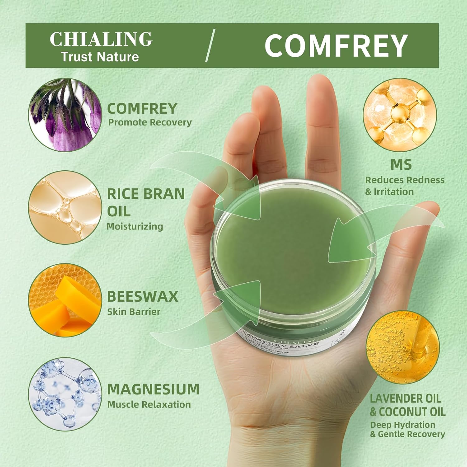 Handmade Organics Comfrey Salve 3.5oz – Natural Herbal Balm for Bones, Muscles, Joints, Knees & Skin - Made In USA - Handcrafted with Slow-Infused Herbs & Mineral-Rich Ingredients for Daily Skin - Image 4