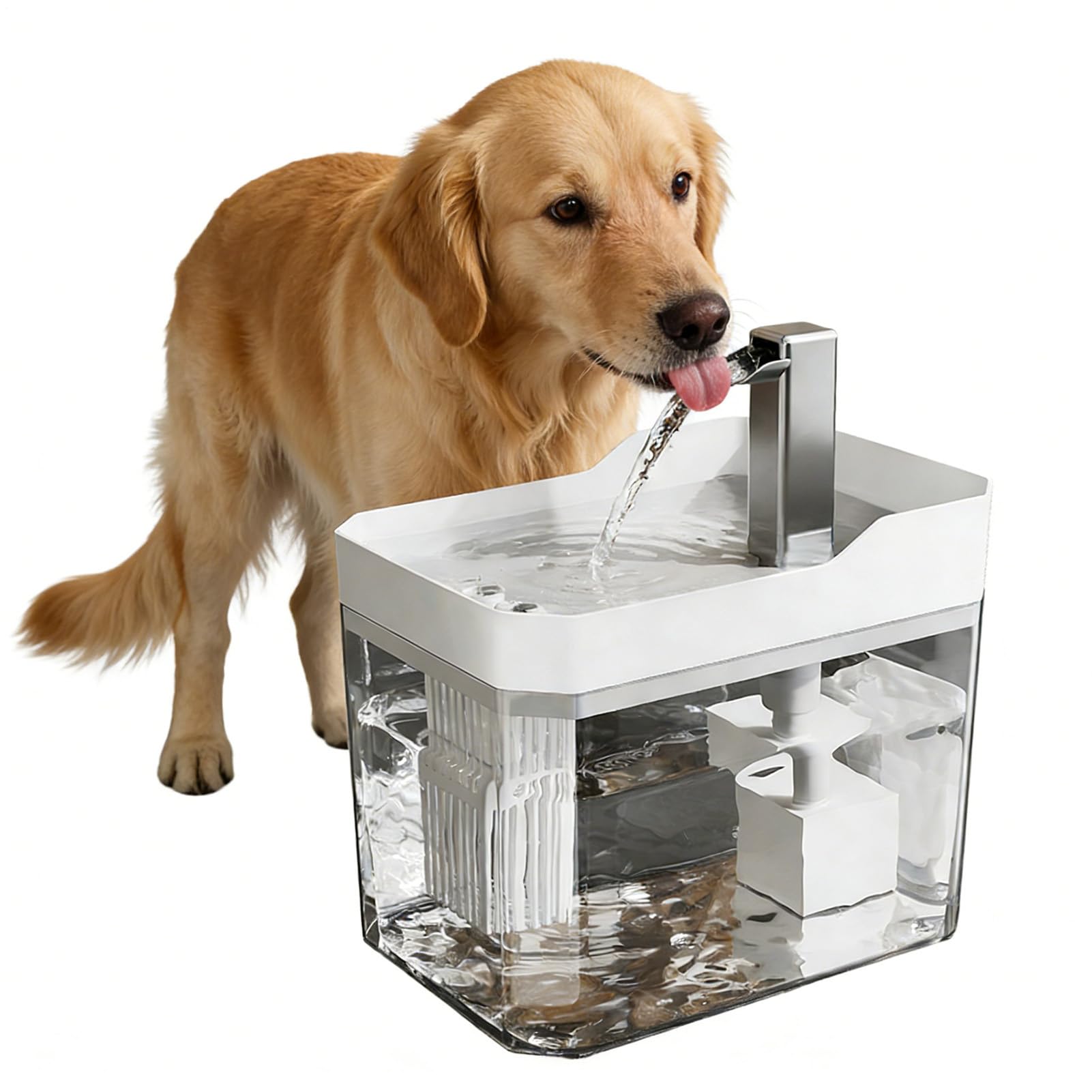 Fontaine à eau pour chat au design épuré avec abreuvoir électrique silencieux de 1,5 L