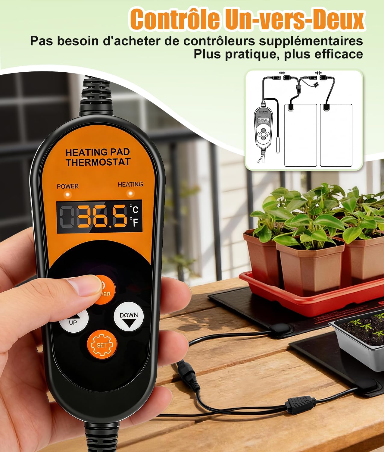 WADEO Tapis Chauffant pour Semis 50W avec Thermostat Numérique [2 Tapis, 1 Contrôleur] - Coussin Chauffant Réglable pour Germination, Boutures, Serre et Terrarium Reptile (IP67, 52x25 cm)