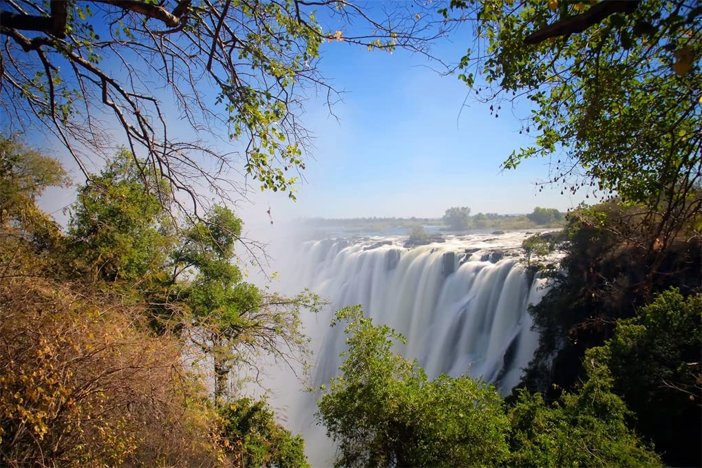 Africa: Discovering Wildlife Parks