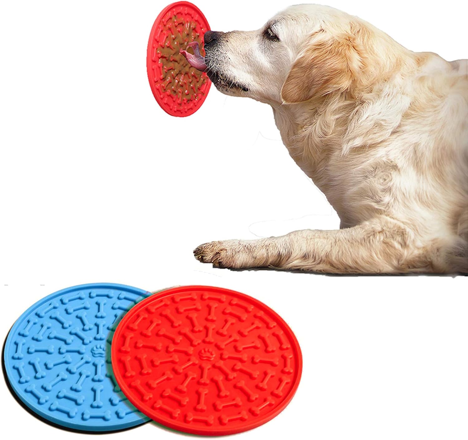 Can A Dog Safely Lick Metal