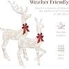 Product Photo 5