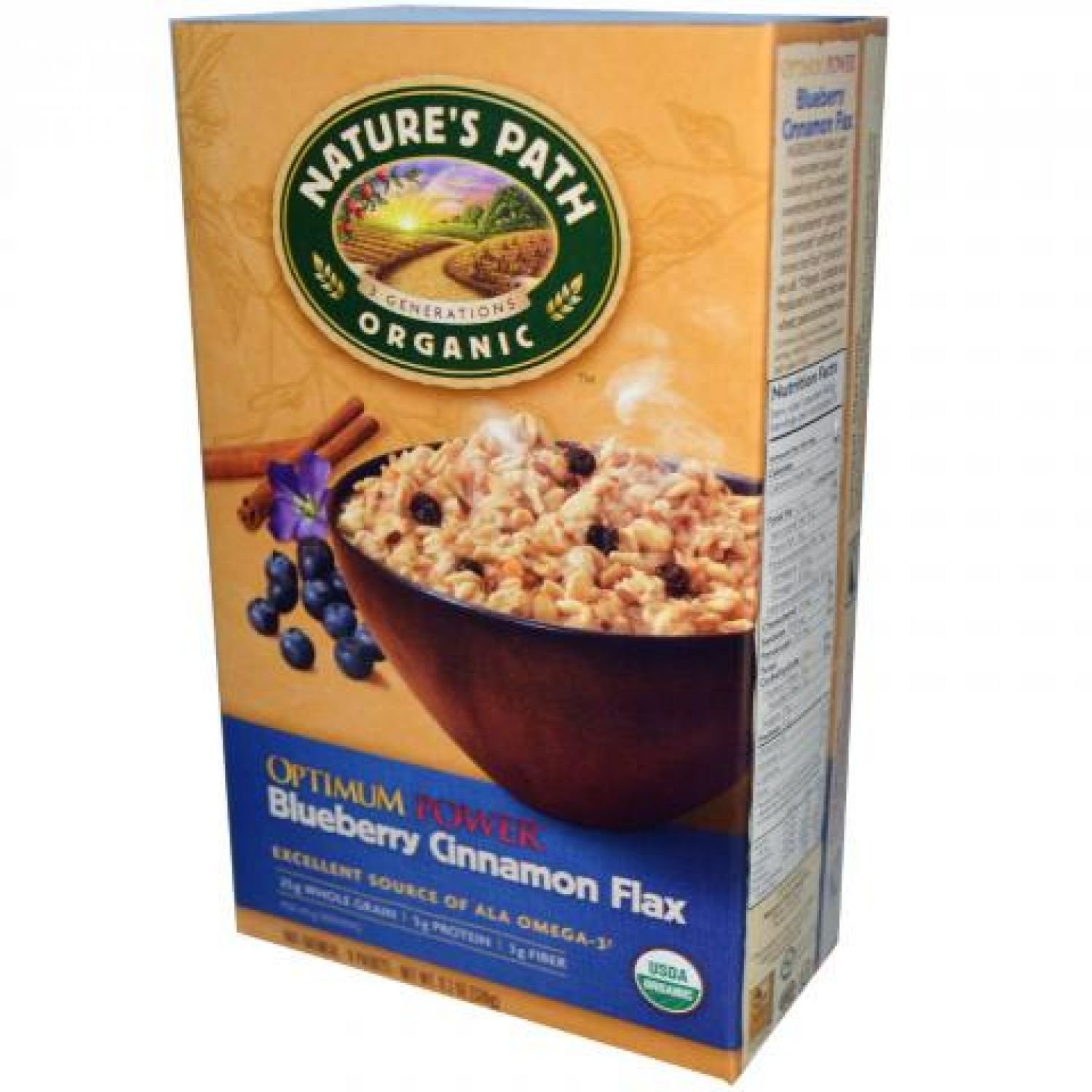 Organic Instant Oatmeal, Blueberry Cinnamon Flax, 8 Packets, 11.3 oz (320 g)