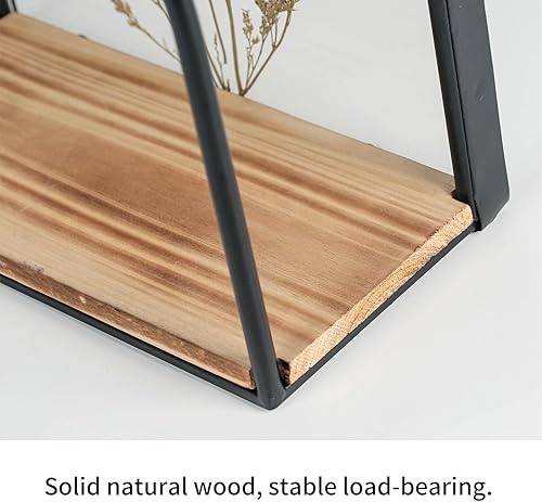 Miniatura 4 de Estantes flotantes montados en la pared, marco de metal negro con decoraciones creativas de especímenes de plantas, estante para especias, estante