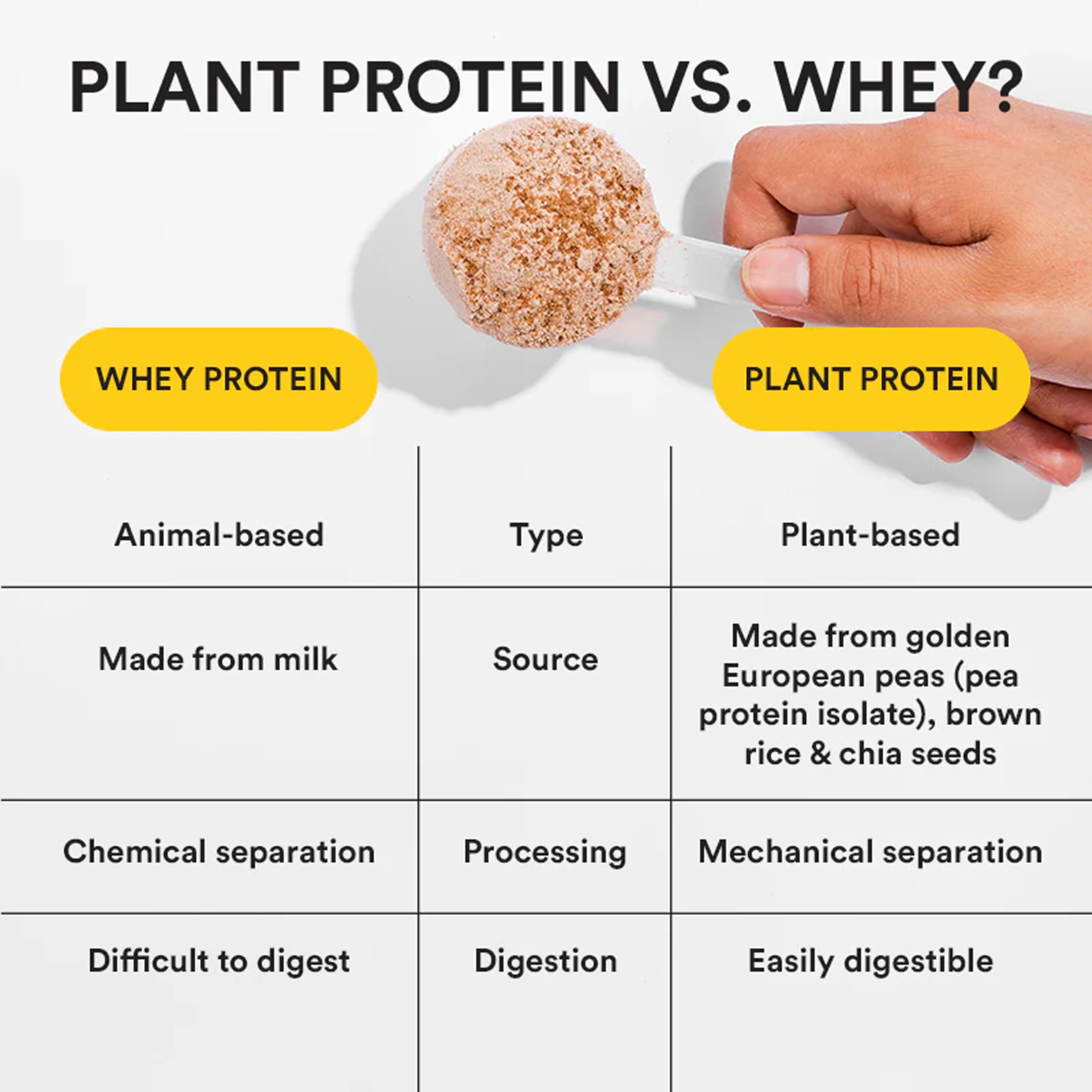 Wellbeing Nutrition Organic Vegan Plant Protein Isolate Powder | 22g Protein, 5g BCAA, 3g Fiber Pea & Brown Rice Protein, Superfoods, Digestive Enzymes | Easy to Digest, British Banoffee Pie, 500gm — Amazon image 4