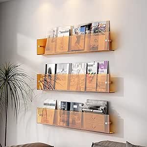 2Pcs Magazine Rack Wall Mounted, Home Office Clear Acrylic Brochure Display Stand with Fittings, Magazine Organizer Holder Bookshelves (Color : 2pcs, Size : 80cm(31 1/2