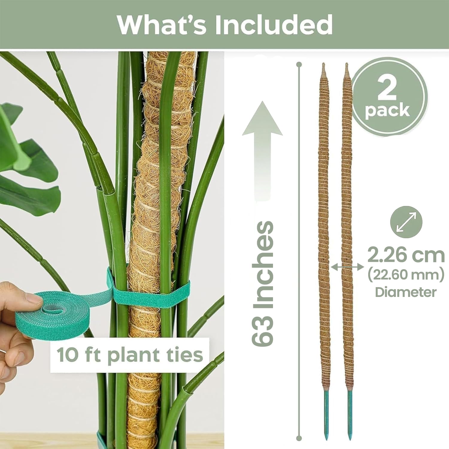 K-Brands Paquete de 2 postes de musgo – Soporte para plantas Monstera de 63 pulgadas – Postes de musgo para plantas trepadoras Monstera – Soporte flexible para plantas de plantas – Kit de estacas para