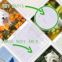 Vista 1414 de Razas de Perros 2017