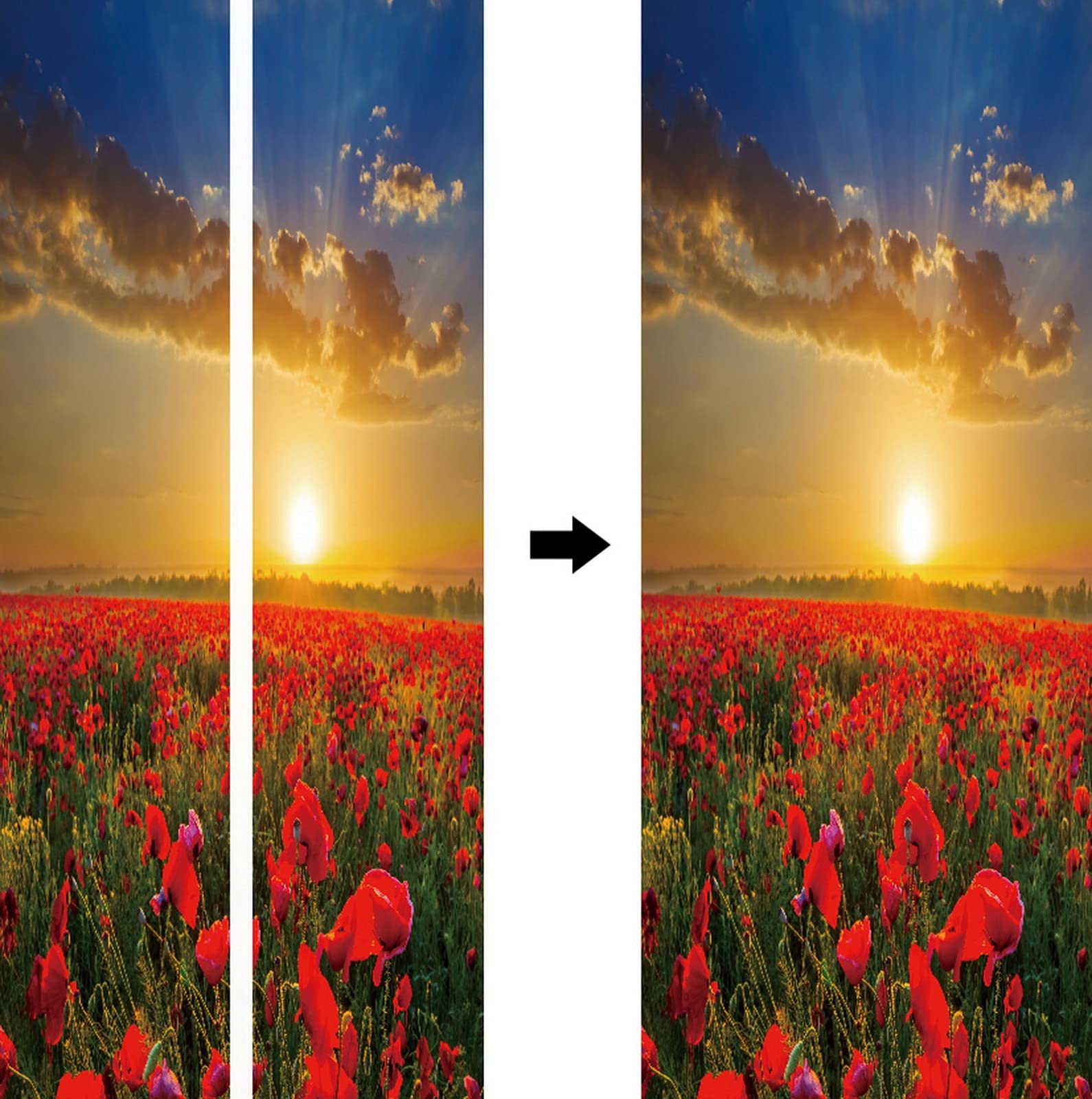 Adesivo Murale Campo Di Papaveri Al Tramonto - PVC Autoadesivo Per Porte E Pareti - Foto 7