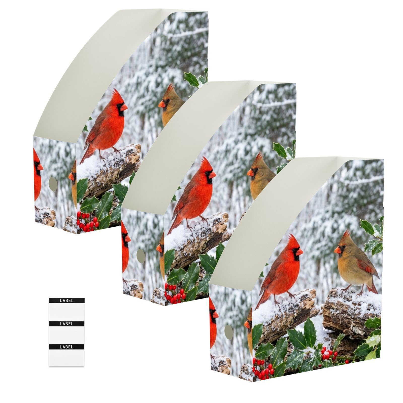 Winter Bird Red Paper Organizer per scrivania