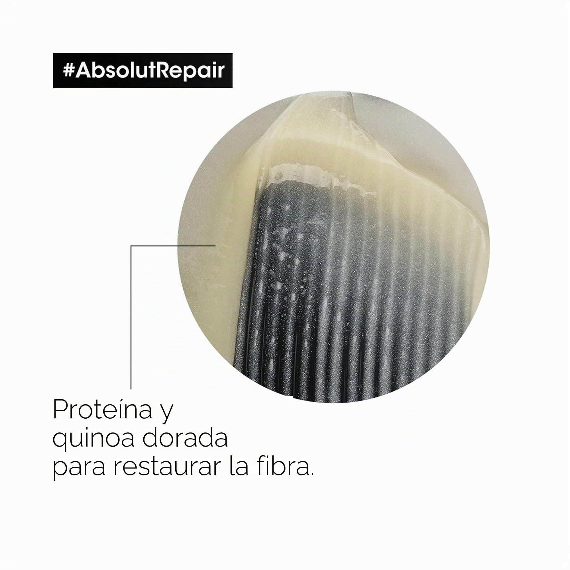 Serie Expert Cofre de San Valentín Absolut Repair 2023 Duo,Para un cabello fortalecido y reparado al instante. Incluye champú de 300ml y mascarilla de 250ml