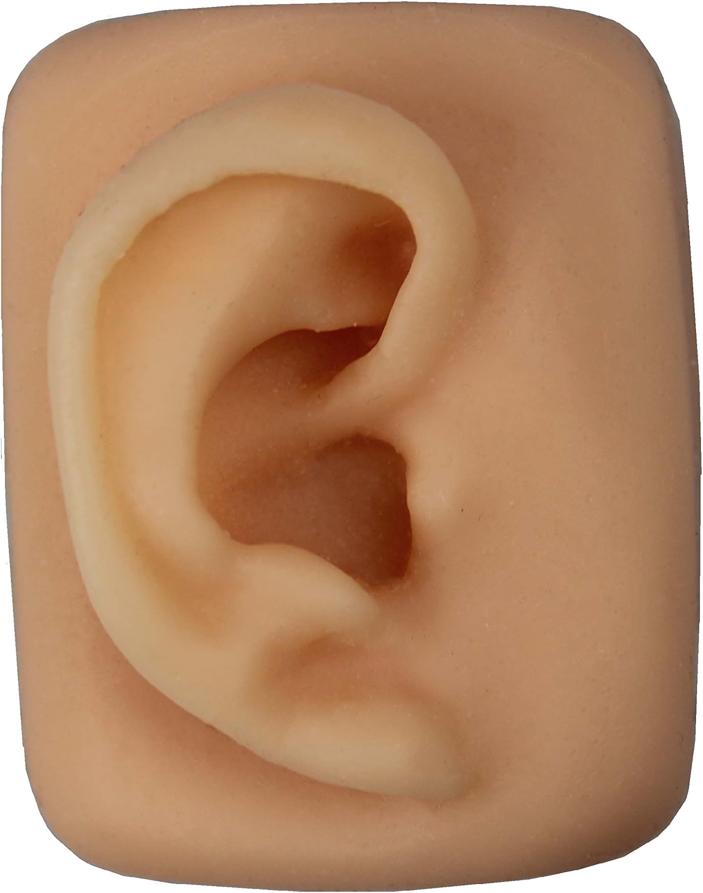 Sim Ear – Practice Suturing on Auricular Laceration – Hand Made in Brooklyn, USA