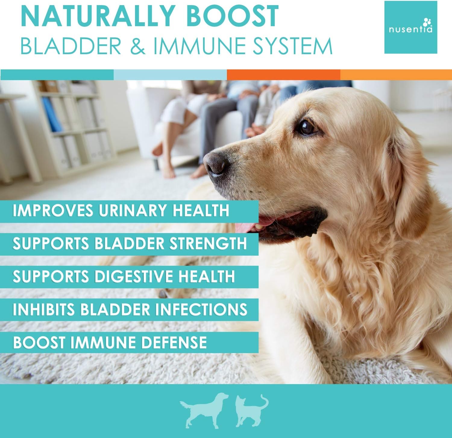 NUSENTIA Urinary & Immune Health Bundle - Natural Bladder Support for Cats & Dogs, Gut Defense, UTI Protection. Probiotics, Prebiotics, Cranberry + D-Mannose. USA
