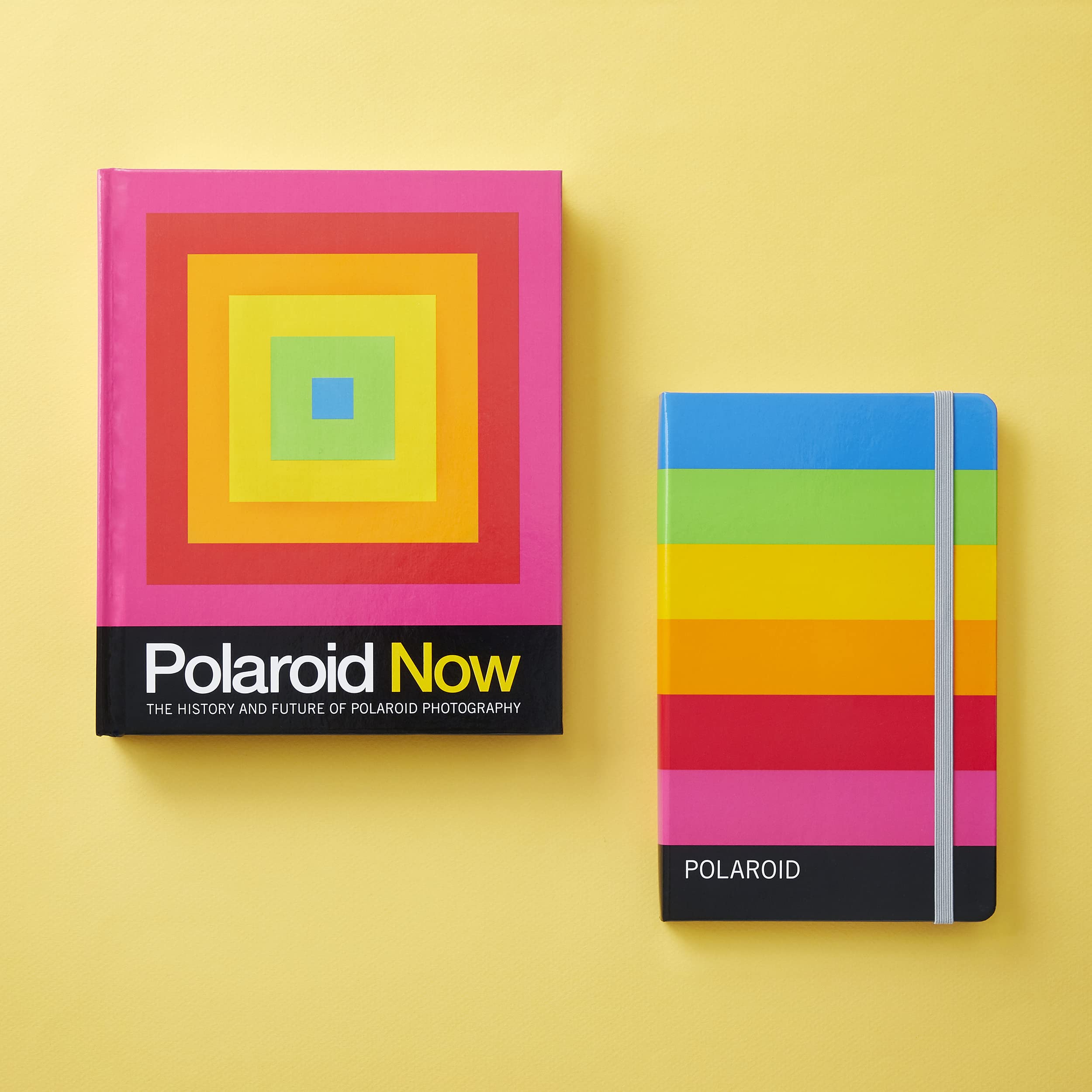 Polaroid Now: The History and Future of Polaroid Photography - Image 2