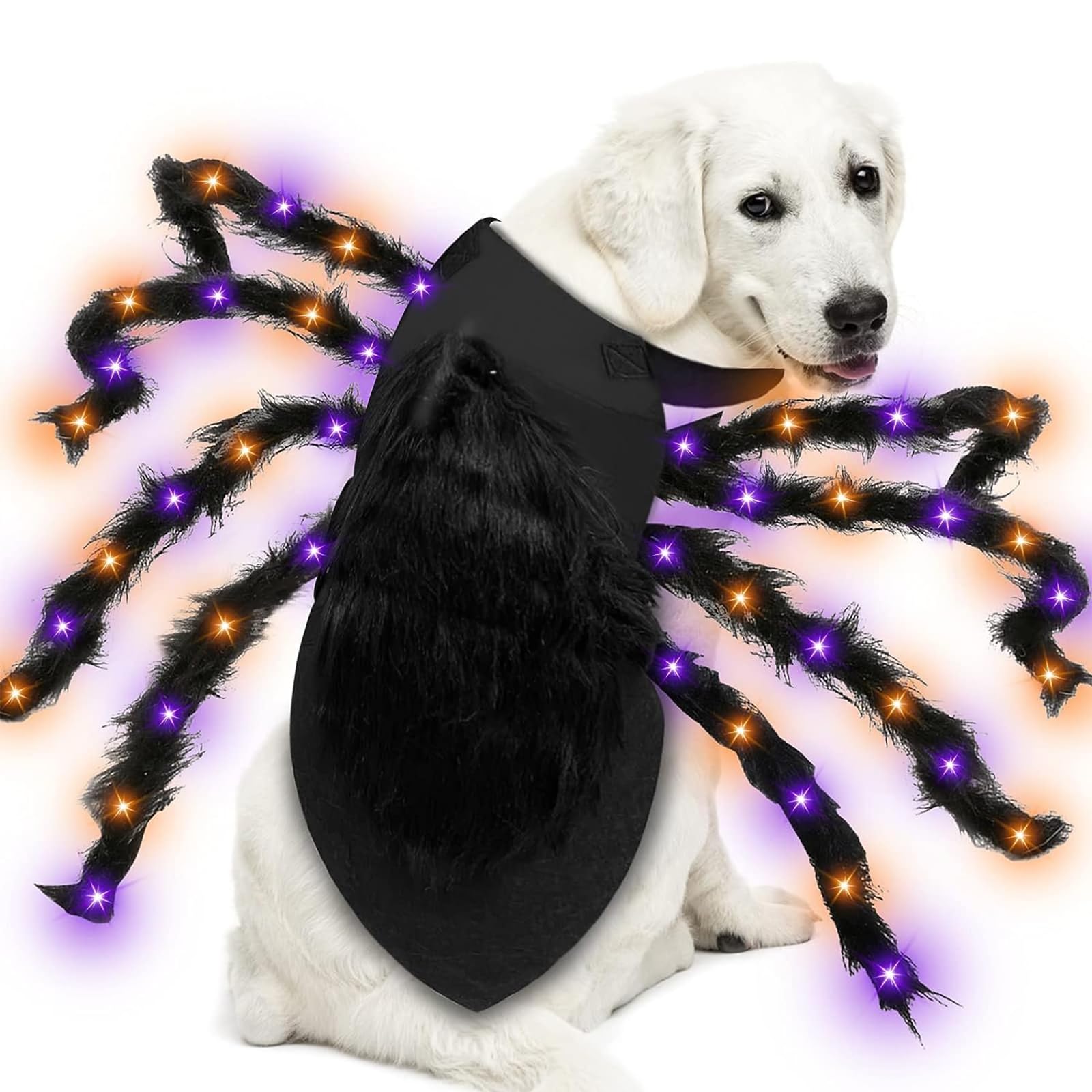Spinnenkostüm Für Kleine Hunde Spinnen Kostüm Kleine Halloween Spinne Für Kinder Kostüm Hund