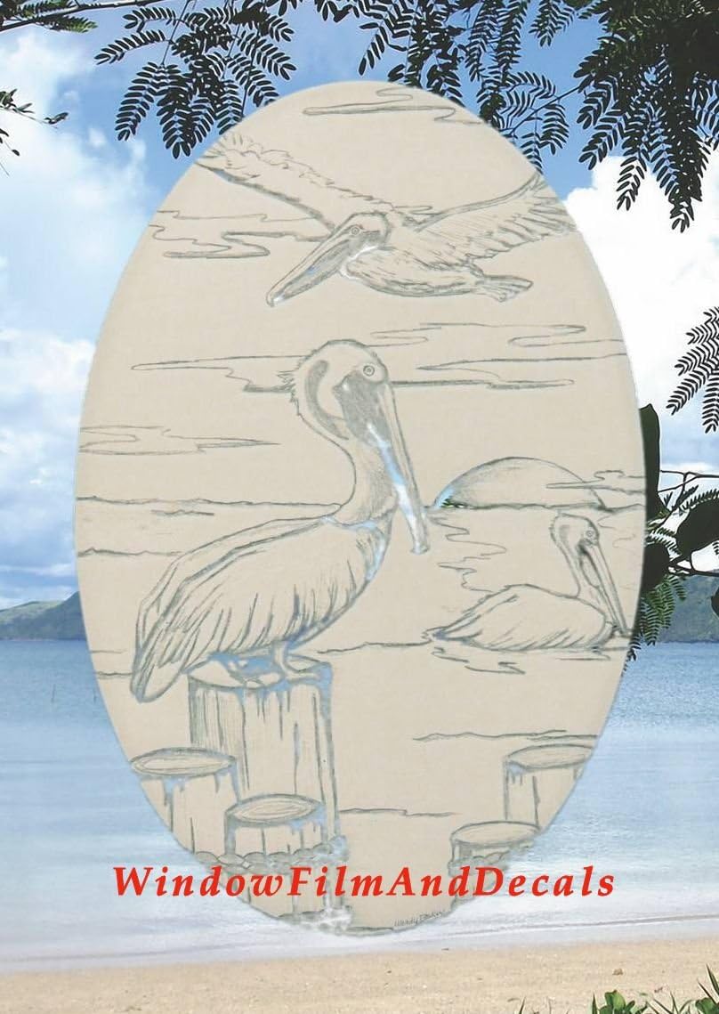 Oval Pelican Etched Window Decal Vinyl Glass Cling - 21" x 33" - White with Clear Design Elements