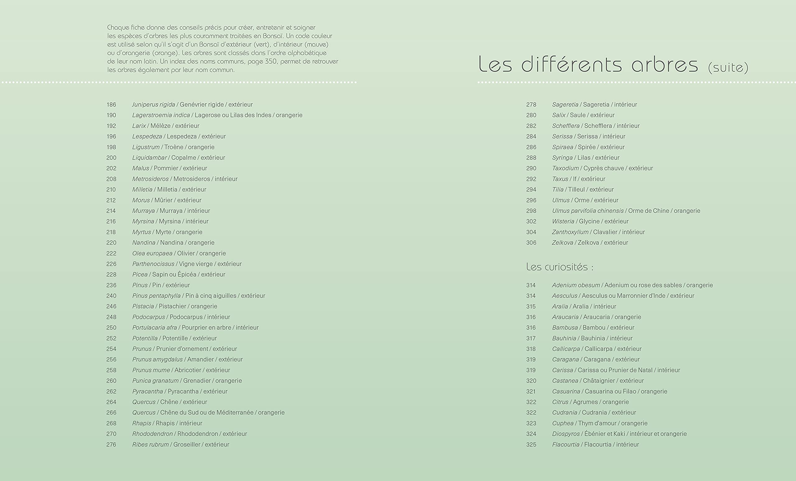 Le Petit Larousse des bonsaï: Plus de 120 espèces à découvrir