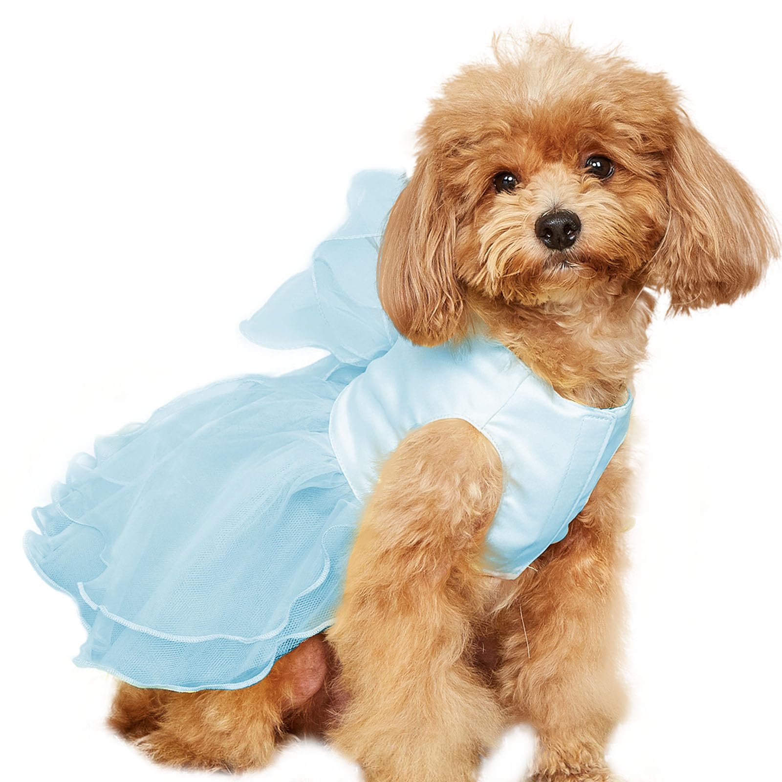 UOSIA Blue Tulle Dog Dress for Small Dogs Cats Cute Summer Girl Puppy Princess Tutu Dress with Bow Decor Chihuahua Yorkie Clothes for Birthday Wedding, XL