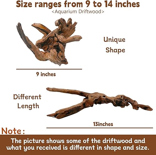 Miniatura 10 de Tfwadmx Ramas de madera natural para acuario, decoración de madera flotante, 2 piezas de 8.5-12 pulgadas, decoración de madera flotante, terrario