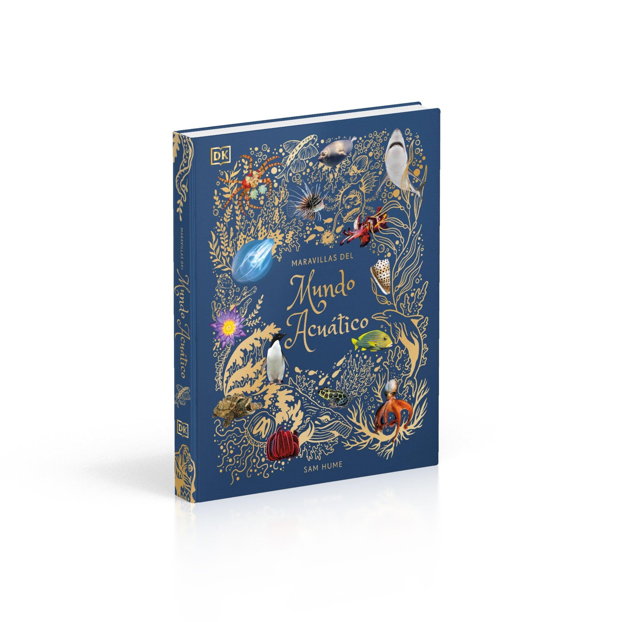 Maravillas del mundo acuático (Planeta curioso) (DK Infantil)