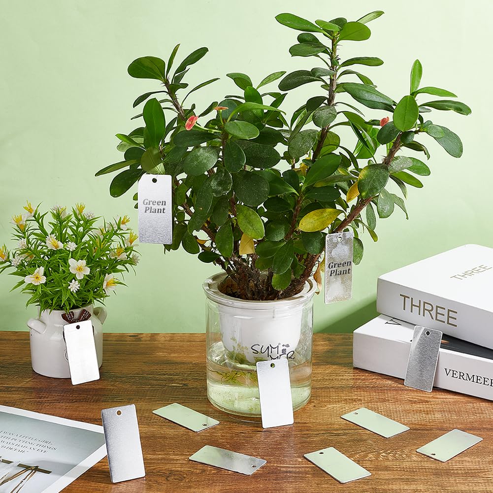 PH PandaHall 40 targhette vuote in metallo da incidere 3 x 6 cm, etichette rettangolari per piante, etichette per alberi in alluminio, per la creazione di gioielli per animali domestici, etichette
