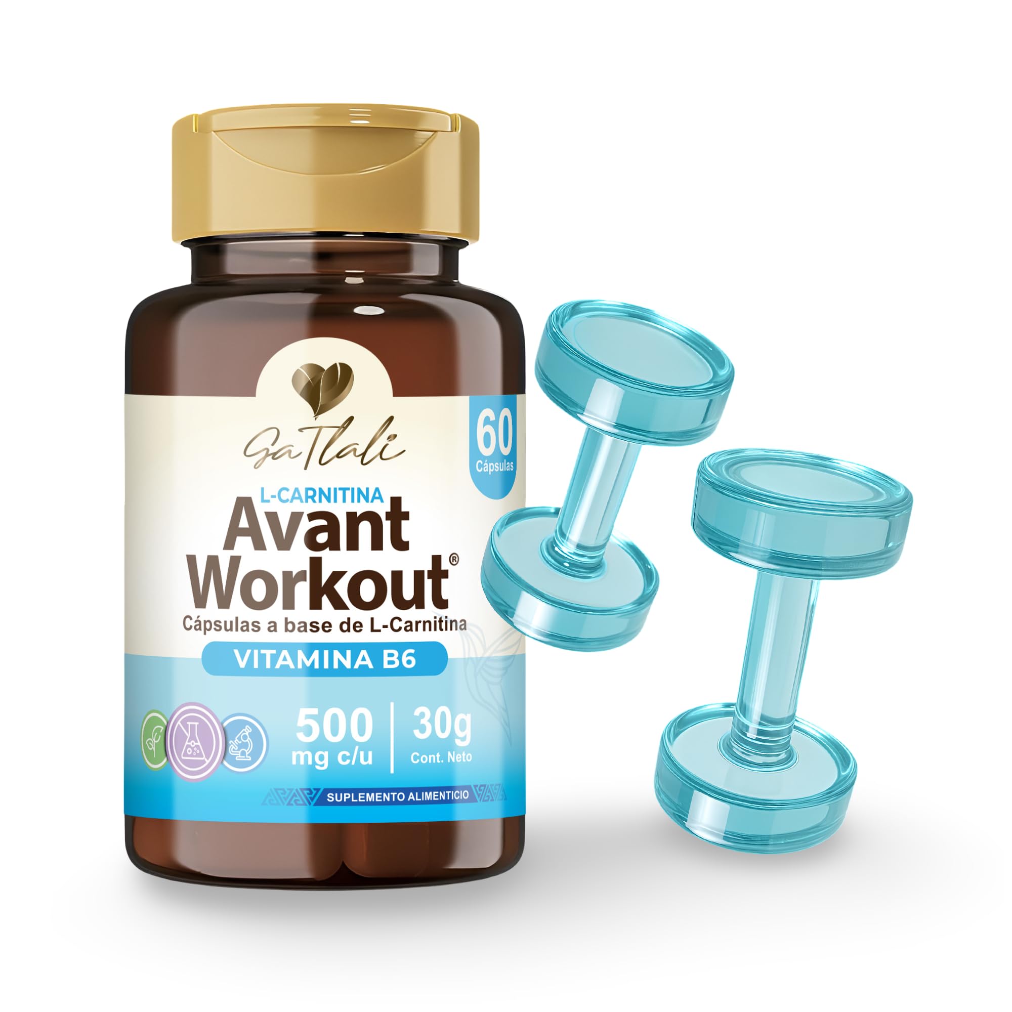 alimentos con l carnitina L Carnitina Ga Tlali 60 Cápsulas con Vitamina B6 - Suplemento Alimenticio - Avant Workout alimentos con l carnitina L Carnitina Ga Tlali 60 Cápsulas con Vitamina B6 - Suplemento Alimenticio - Avant Workout