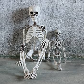 Amazon.co.jp: ハロウィン 骸骨 飾り 等身大 スケルトン 怖い モデル