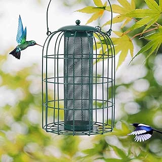 Best Red Squirrel Proof Bird Feeder Of 2020 Top Rated Reviewed