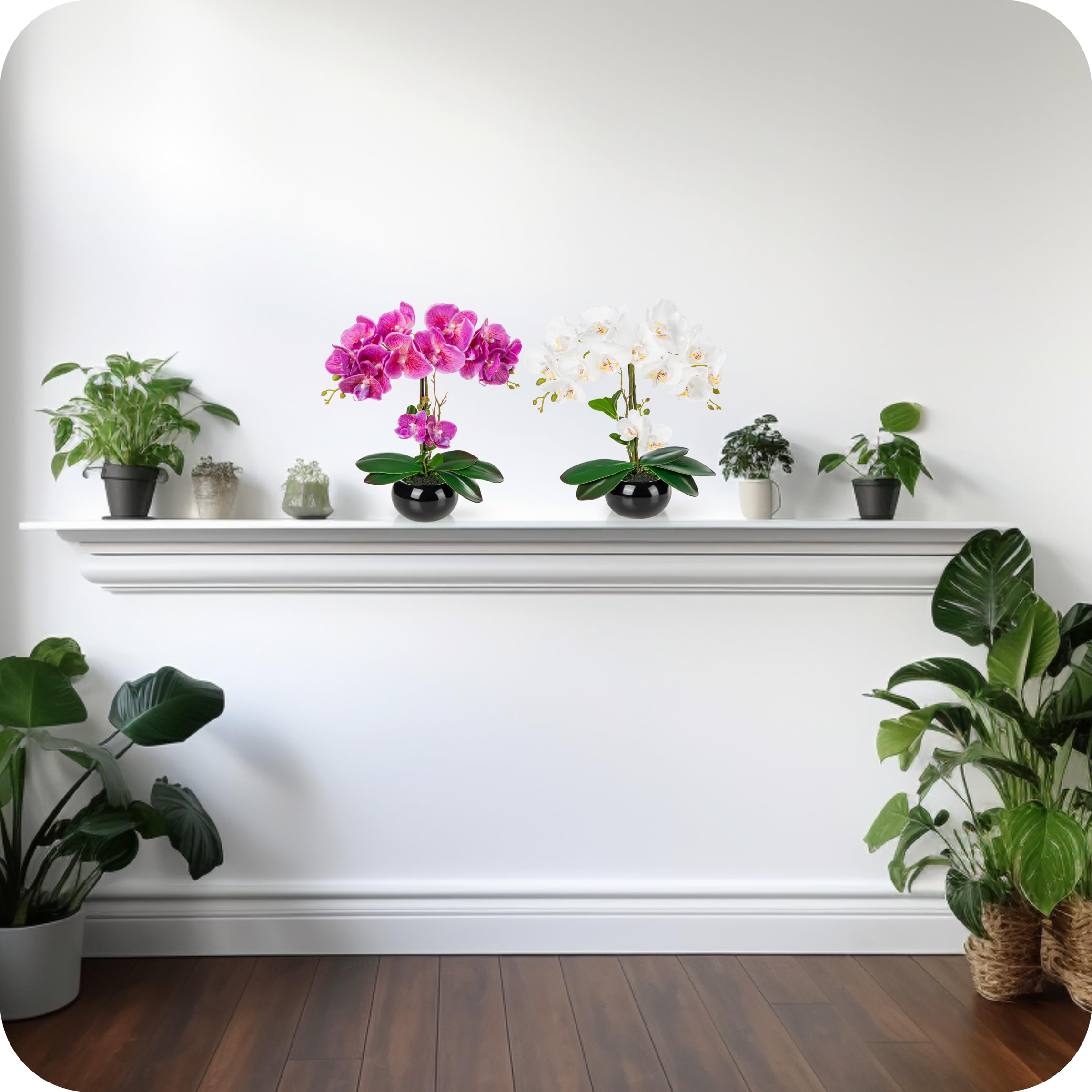 PASCH® Lot de 2 Orchidées Artificielles en Pot dans des Pots en Céramique Brillante (40 cm)